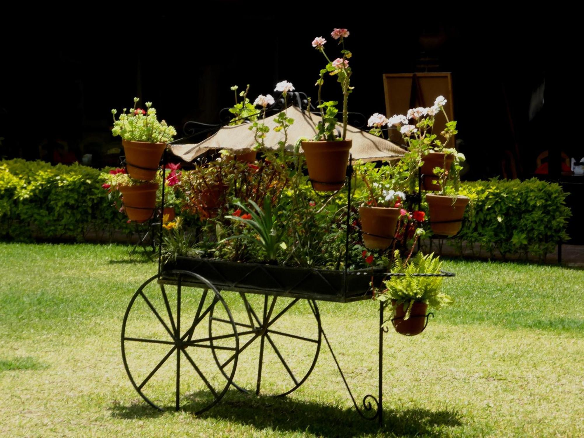 Nuestras Raices Hotel - Museo - Restaurante San Cristóbal de Las Casas Eksteriør billede